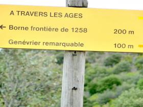 photo coins arrondis