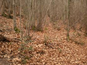 photo coins arrondis