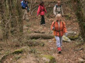 photo coins arrondis