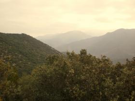 photo coins arrondis