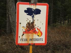 photo coins arrondis