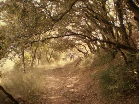 photo coins arrondis