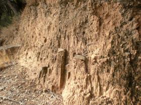 photo coins arrondis