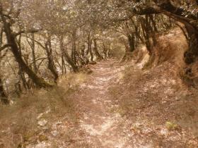 photo coins arrondis