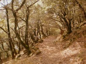 photo coins arrondis