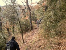 photo coins arrondis