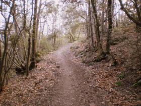 photo coins arrondis