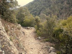 photo coins arrondis