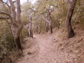 photo coins arrondis