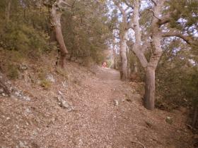 photo coins arrondis