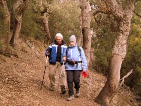 photo coins arrondis