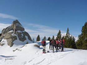 photo coins arrondis