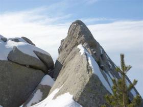 photo coins arrondis