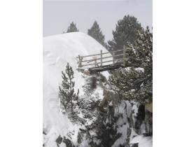 photo coins arrondis