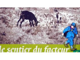 photo coins arrondis