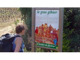 photo coins arrondis