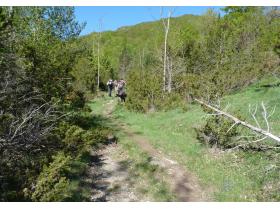 photo coins arrondis