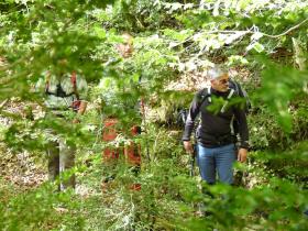 photo coins arrondis