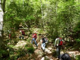 photo coins arrondis