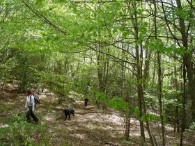 photo coins arrondis