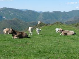 photo coins arrondis