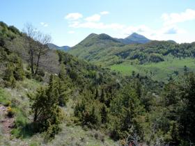 photo coins arrondis