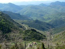 photo coins arrondis