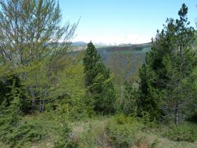 photo coins arrondis