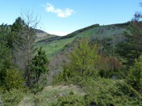 photo coins arrondis