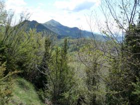 photo coins arrondis