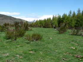 photo coins arrondis