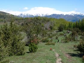 photo coins arrondis