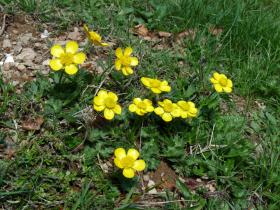 photo coins arrondis