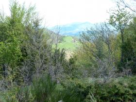 photo coins arrondis