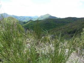 photo coins arrondis