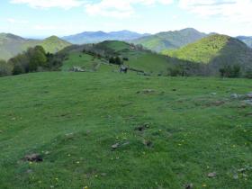 photo coins arrondis