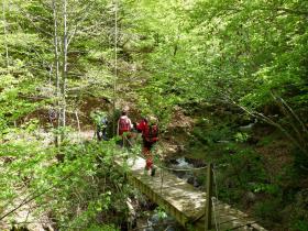 photo coins arrondis