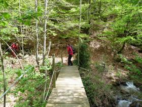 photo coins arrondis