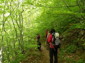 photo coins arrondis