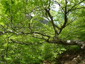 photo coins arrondis