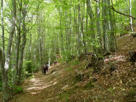 photo coins arrondis