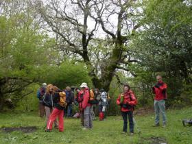 photo coins arrondis