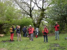 photo coins arrondis