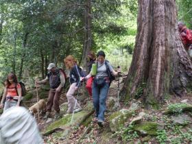 photo coins arrondis