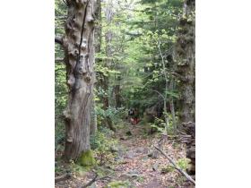 photo coins arrondis