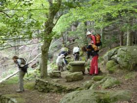 photo coins arrondis