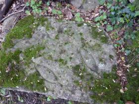 photo coins arrondis