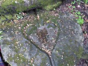 photo coins arrondis