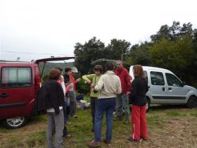 photo coins arrondis