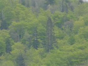 photo coins arrondis